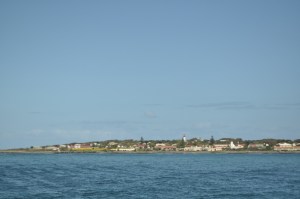 Robbeneiland gezien vanaf de veerboot