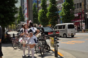 In Akihabara struikel je op straat op de maids, die je proberen enthousiast te maken voor een bezoek aan een maidcafe.
