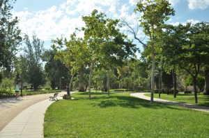 De Jardin de Turia biedt hardlopers, wandelaars en fietsers een uitgelezen mogelijkheid om te ontsnappen aan de verkeersdrukte van de stad. 