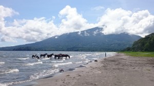 Op Playa Santo Domingo hoef je het meer met een beetje geluk alleen te delen met een stel paarden dat verkoeling zoekt.