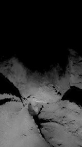 Met soms duizenden tegelijk keren de Olive Ridley Schildpadden terug naar het strand waar ze ooit geboren zijn. 