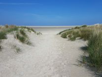 WhatsApp Image 2017-05-14 at 18.30.21