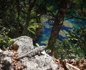 4511CD5C-5C25-4474-8D43-7F88E14F9801