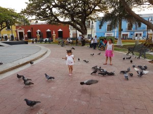 E1665DFC-1FD6-4D48-ACBC-50B5CB544FFF